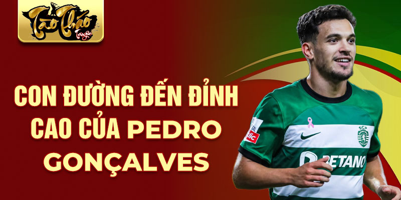 Con đường đến đỉnh cao của pedro gonçalves