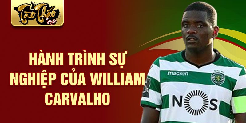 Hành trình sự nghiệp của william carvalho