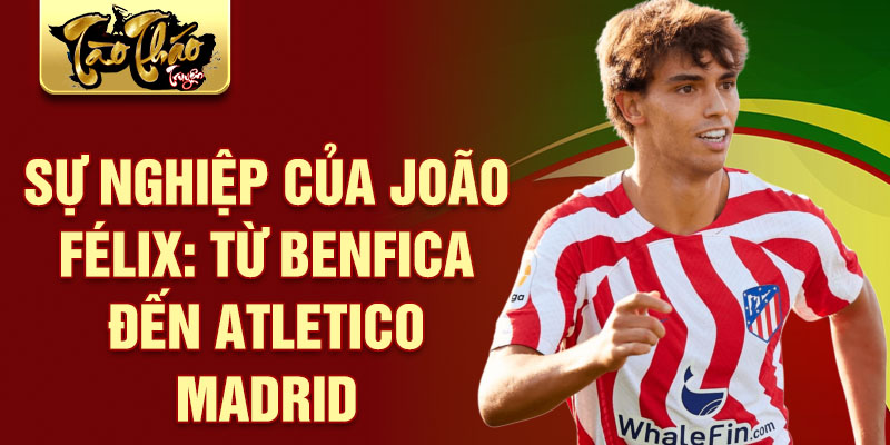 Sự nghiệp của joão félix: từ benfica đến atletico madrid