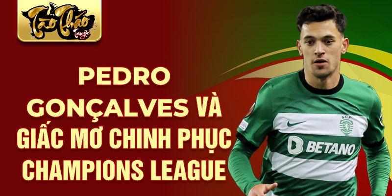 Pedro Gonçalves và giấc mơ chinh phục Champions League