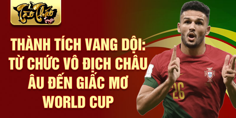 Thành tích vang dội: Từ chức vô địch châu Âu đến giấc mơ World Cup