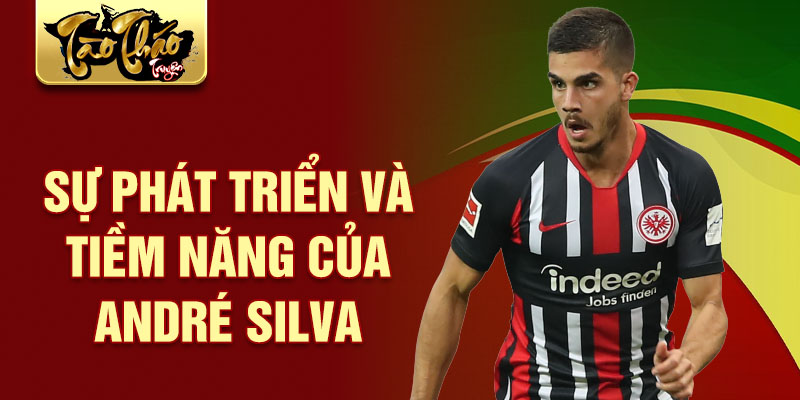 Sự phát triển và tiềm năng của André Silva