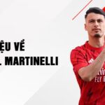 Giới thiệu về gabriel martinelli